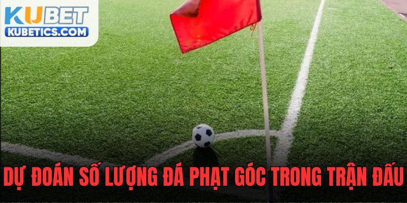 tìm hiểu về soi kèo phạt góc là gì